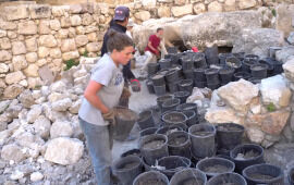 Dozens of Coins From Final Year of Jewish Revolt Discovered in Ophel Cave