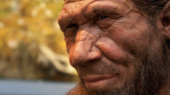 Genesis 6 Manifest? New Study Shows Neanderthal Men &lsquo;Preferred Homo Sapiens Women&rsquo;