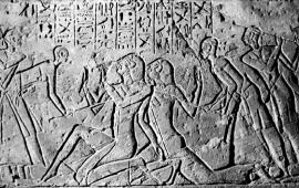 Were There Giants in Canaan After All?