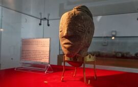 Is This Anat? Gaza Farmer Uncovers Peculiar ‘4,500-Year-Old’ Idol Head