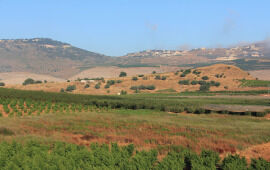 Hebrew Inscription: ‘Surprising’ Indication of Israel’s Borders