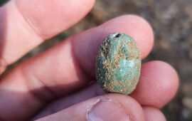 3,500-Year-Old Scarab Found on School Field Trip