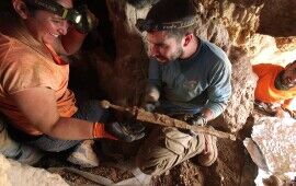 Four 1,900-Year-Old Swords Found Near the Dead Sea