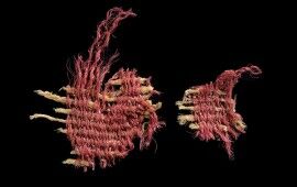 Earliest Evidence of Red-Dye Textile Discovered in Judean Cave