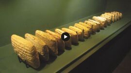 The Complementary Nature of the Bible and Ancient Cuneiform Texts in the Persian Period