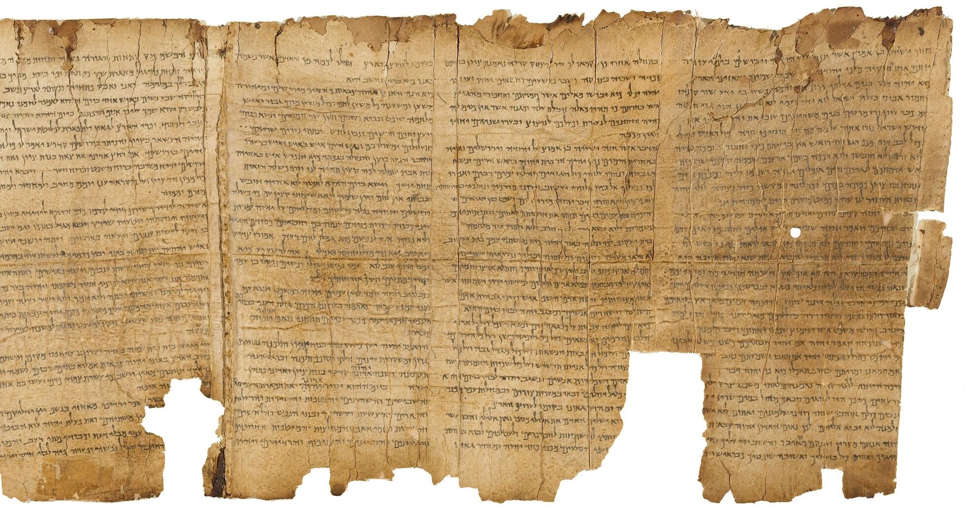 Esther in the Dead Sea Scrolls? | ArmstrongInstitute.org