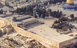 The Discoveries of the Temple Mount