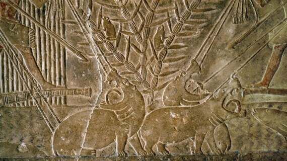 Bad Blood Between the Egyptians and Israelites Began With &hellip; Hippopotamuses?