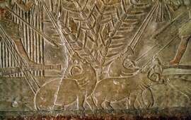 Bad Blood Between the Egyptians and Israelites Began With &hellip; Hippopotamuses?