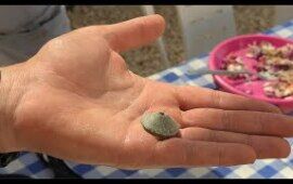 Jerusalem Ophel Excavation 2025: Grindstone and Spindle Whorl