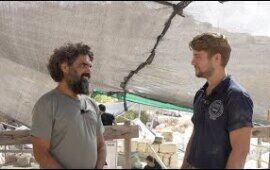 Jerusalem Ophel Excavation 2024: Area D Overview