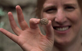 A 2,700-Year-Old Assyrian Inscription Demanding Tribute Found in Jerusalem