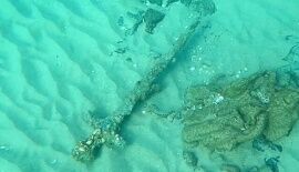 Diver Finds Crusader Sword Off the Coast of Dor