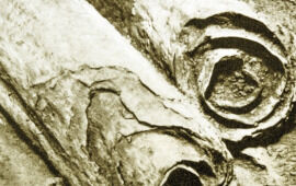 The Dead Sea Scrolls: Interview With Alexander Schick