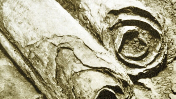 The Dead Sea Scrolls: Interview With Alexander Schick