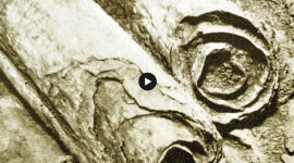 The Dead Sea Scrolls: Interview With Alexander Schick