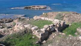 Shipwreck Reveals Earliest Evidence for Raw Iron Trade