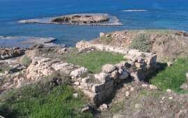 Shipwreck Reveals Earliest Evidence for Raw Iron Trade