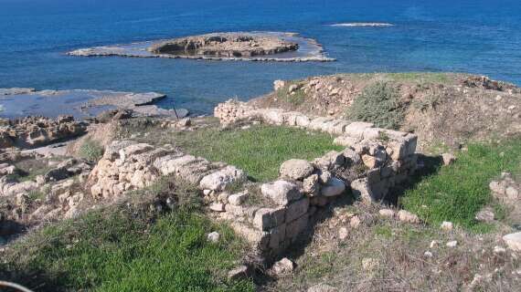 Shipwreck Reveals Earliest Evidence for Raw Iron Trade