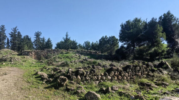 Biblical Cabul: A Gift of Worthless Cities From Solomon?