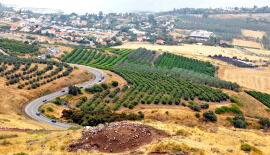 A Network of Circular Watchtowers on Israel&rsquo;s Eastern Frontier