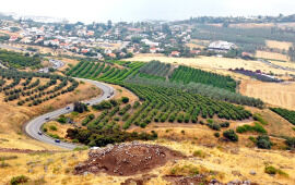 A Network of Circular Watchtowers on Israel&rsquo;s Eastern Frontier