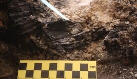 Tisha B&rsquo;Av Time Capsule: First Temple Period Destruction Unearthed in City of David