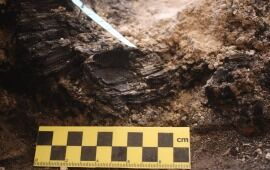 Tisha B&rsquo;Av Time Capsule: First Temple Period Destruction Unearthed in City of David