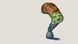 Does the Geologic Column Actually Exist?