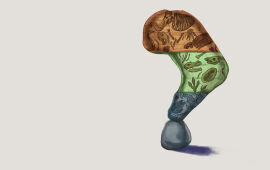 Does the Geologic Column Actually Exist?
